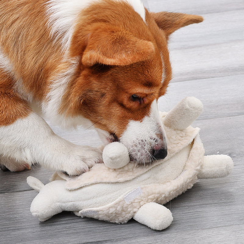 Dog's toys