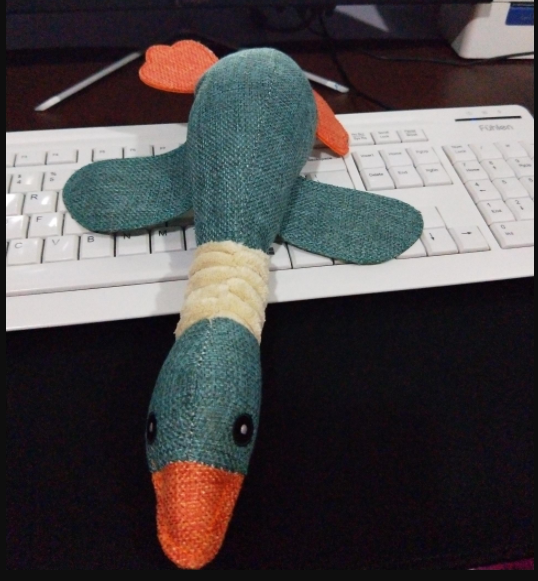 Pet plush toys