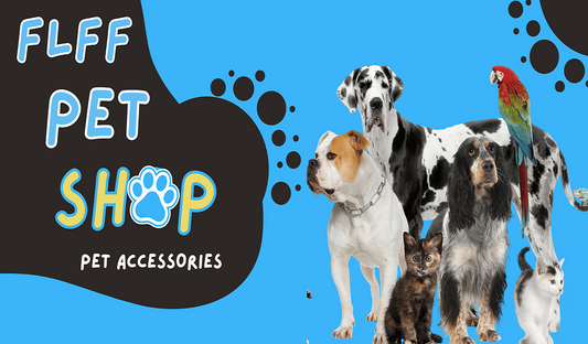 Pet Accessories Blog