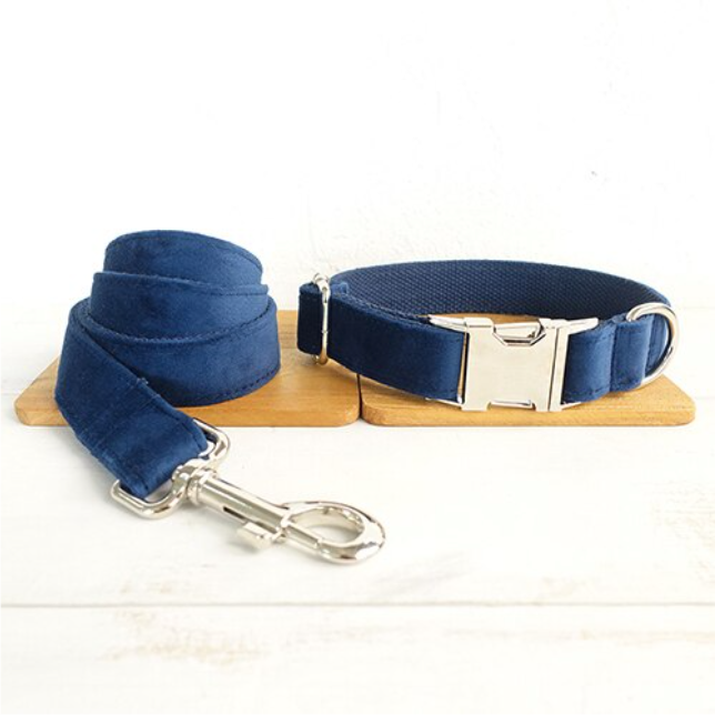 Pet collar large and small