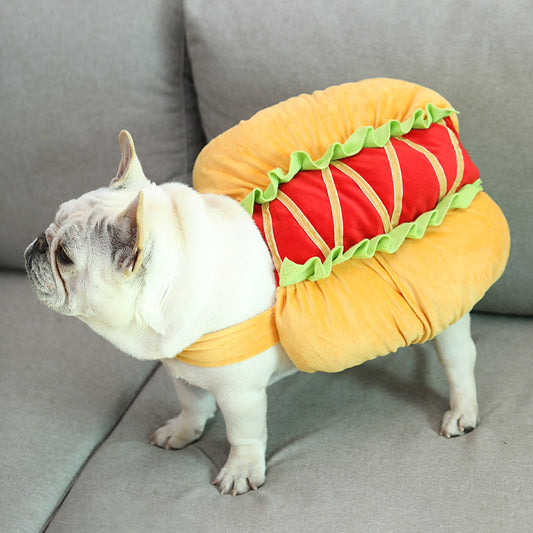 Best Pet clothes