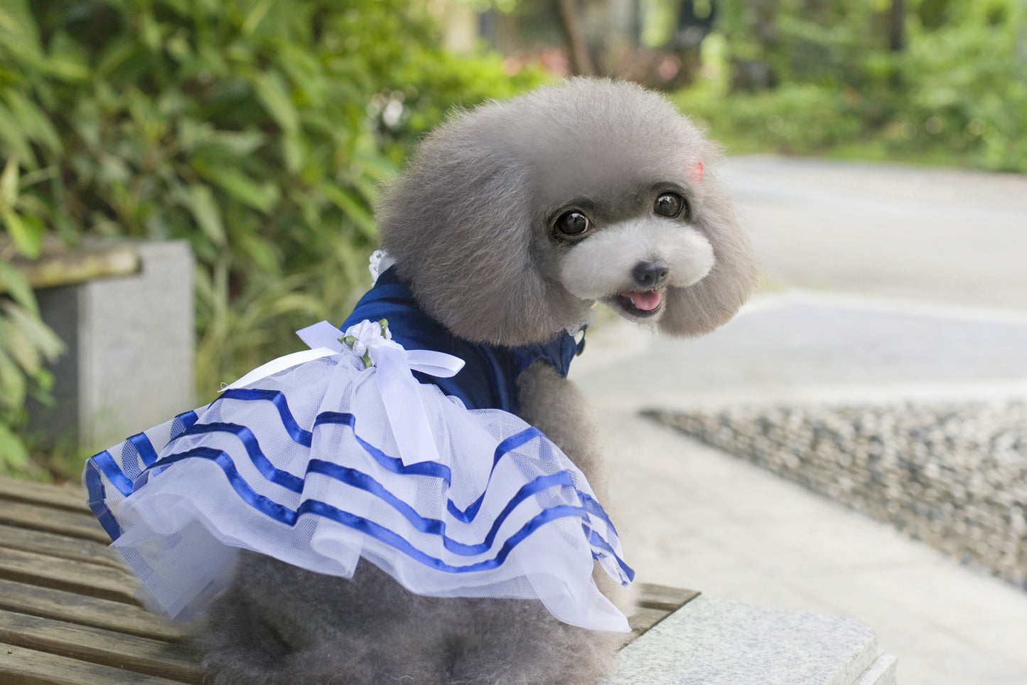 Pet Clothes Dog Skirt