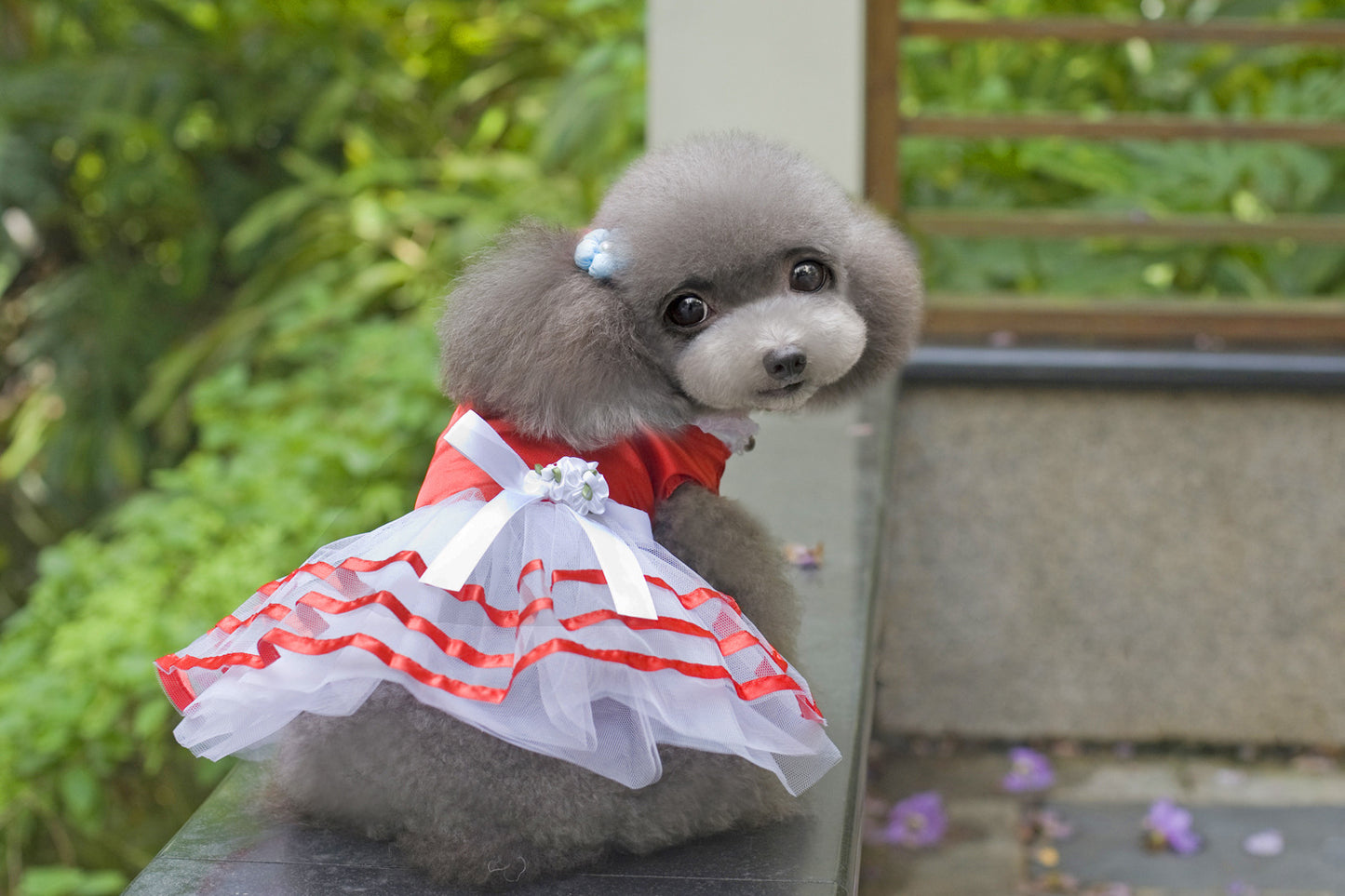 Pet Clothes Dog Skirt