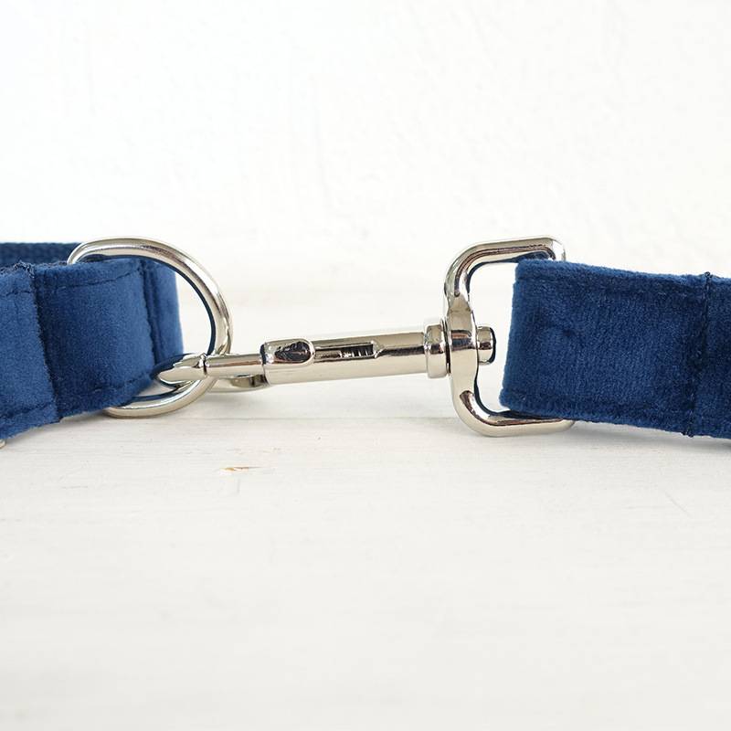 Pet collar large and small