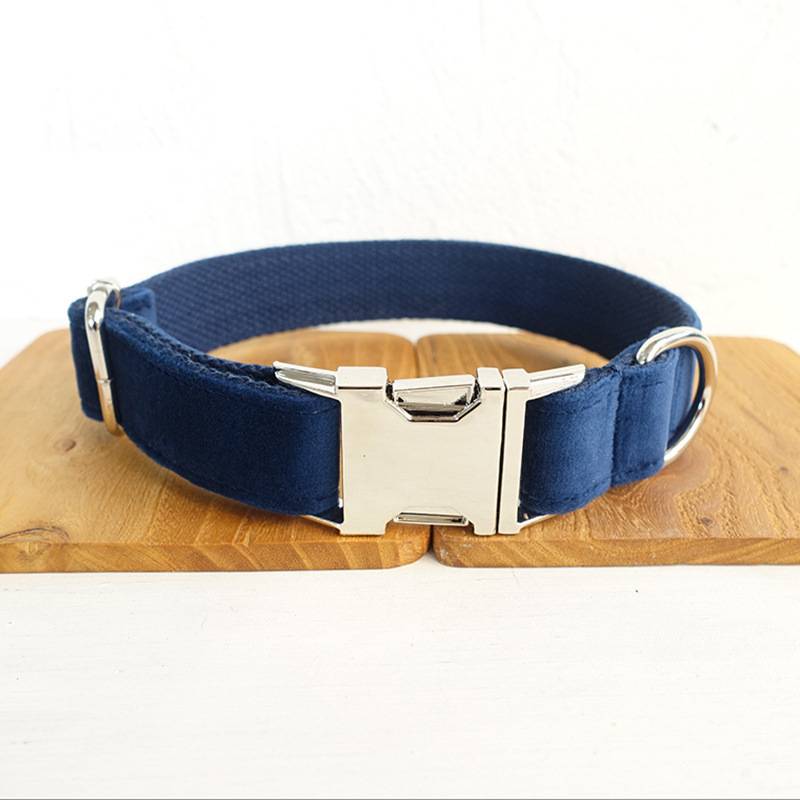 Pet collar large and small